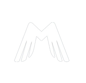 Лео Шевченко